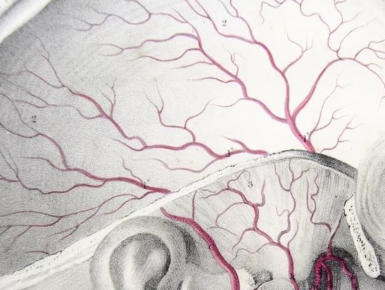 Кружится немеет и болит голова