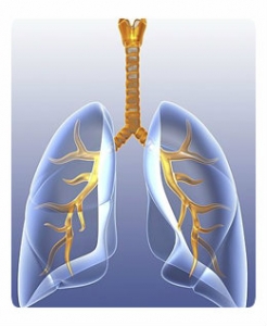 Трахеит Трахеит
