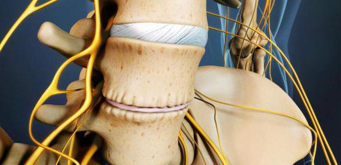 просыпаюсь от того что болит спина