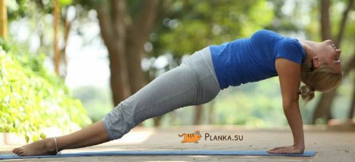 Голова слишком запрокинута в обратной планке Голова слишком запрокинута в обратной планке