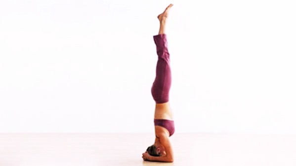 Стоит на голове