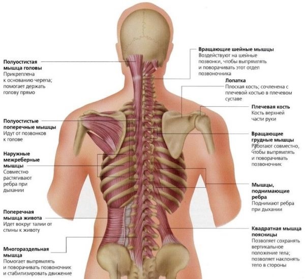 Любые повреждения позвоночника механического характера становятся причиной появления боли и мешают полноценной жизни