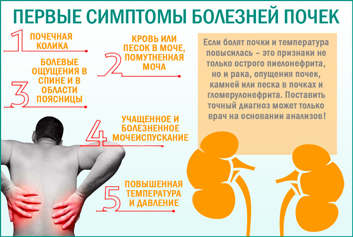 Первые симптомы болезней почек Болезнь почек: первые симптомы