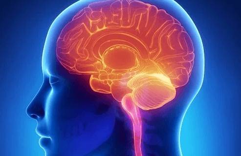 Если постоянно болит одна точка головы