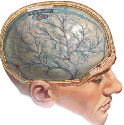 Болит спина в районе поясницы и температура