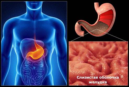 Почему после приема пищи болит спина