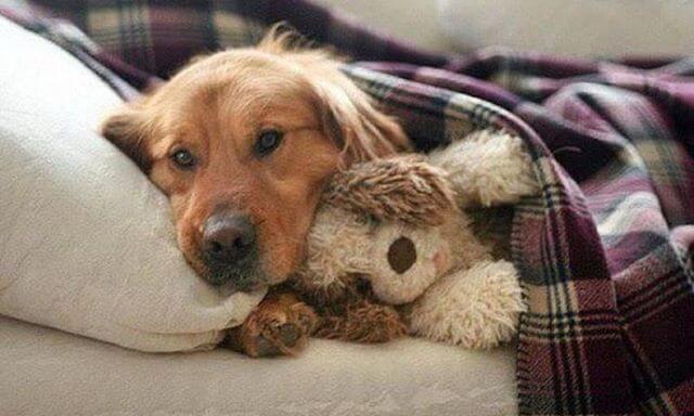 Головная боль