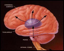 Болит голова при мочеиспускании