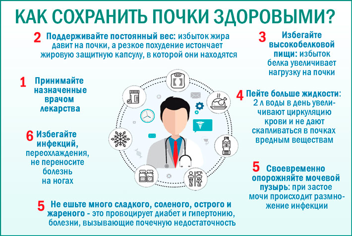 Как сохранить почки здоровыми? Как сберечь почки здоровыми?
