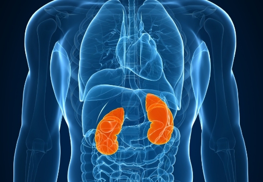 Утром просыпаюсь болит спина